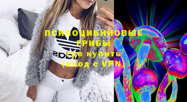 крисы Кинешма