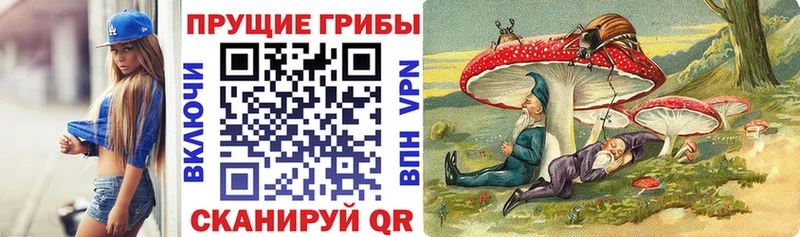Галлюциногенные грибы Magic Shrooms  Купить где  Губкин 